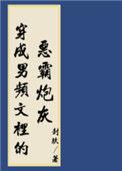 穿进男频搞建基建 tx