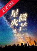 星火微芒24k