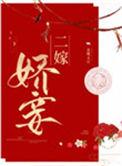 二嫁娇妾 作者金珠玉豆