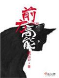 前方高能游戏