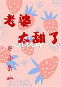 老婆太甜了小崇山txt宝书网