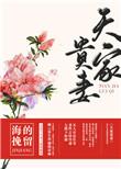 天家贵妻作者海的挽留
