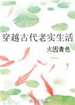 穿越古代老实生活的