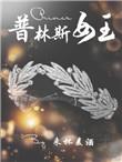 普林斯妻子