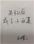 失忆后成了小白菜全文阅读