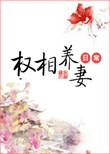 权相养妻日常贴吧