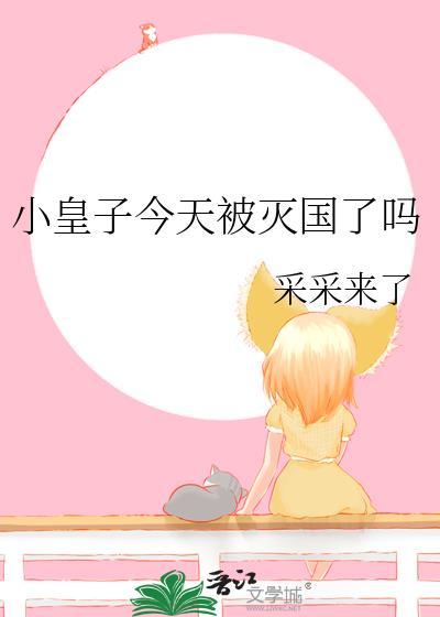 小皇子今天被灭国了吗番外