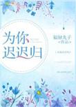 迟迟等你归是什么歌曲
