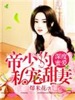 帝少的蜜宠娇妻