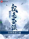 我真的是正派TXT奇书网