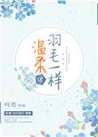 温柔像羽毛一样全文阅读