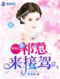 暖婚总裁100分布桐免费txt