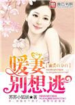 蜜爱天价暖妻