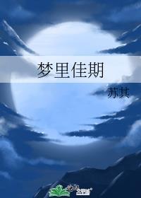 梦里佳期txt