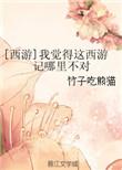 我觉得这西游哪里不对txt