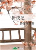 折枝记txt百度