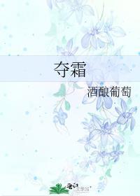 夺霜全本TXT电子书