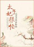 太子妃很忙txt久久