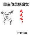 男友他美颜盛世红刺北