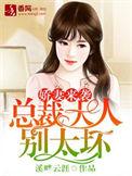 娇妻总裁hh