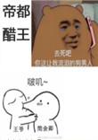我怕是离了个假婚全文阅读