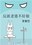 反派老婆不好做无弹窗