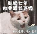 结婚七年他要跟我离婚是年下还是年上