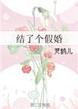 结了个假婚无错版