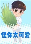 怪你太好看