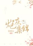 炮灰集锦综TXT