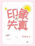 印象失真讲的什么