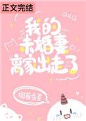 我的未婚妻离家出走了txt
