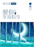 爱你至高指令57番外