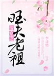 清穿旺夫福晋