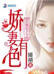 少将的娇妻