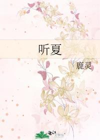 听夏时风叙TXT