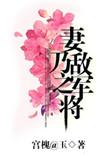 妻乃敌军之将全文免费阅读