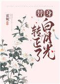 替身的白月光转正了