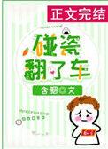 碰瓷翻了车简介