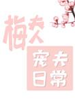 梅夫人宠夫日常 扶华