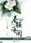 锁春愁免费