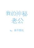 我的神秘老公白雅完整版免费读全文