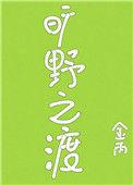 旷野之渡金丙完整版