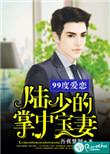 99度爱恋全文免费阅读