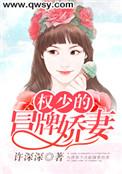 权少的王牌宠妻 忆梦