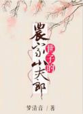 农家世子妃全文免费