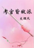 考官皆敌派 作者文理风