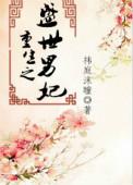 重生之盛世男妃原著