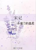 宋记老月饼