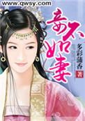 妾不如妻笔趣阁